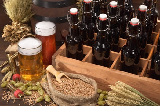Beer carriers with various beers,wheat,barley,hops and malt