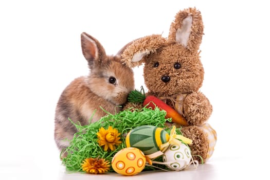 Colorful rabbit with Easter eggs on white background