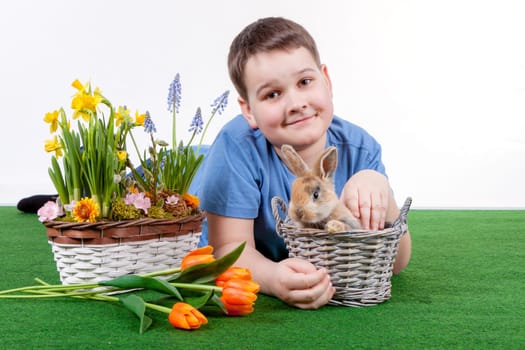 Young boy with colorful rabbit and spring flower on white background.