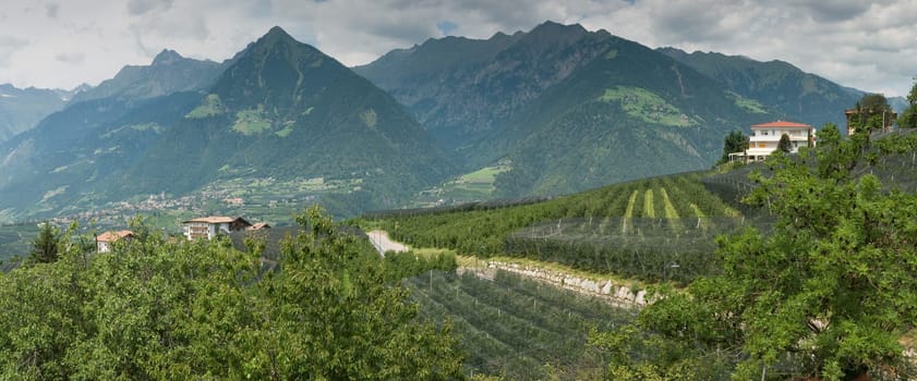 Panaorama view of the village of Tyrol in South Tyrol with mountains of the Texel Group behind it in cloudy skies