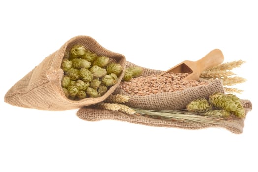 Beer ingredients – wheat,barley,hops and malt isolated on white