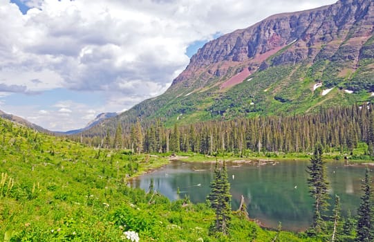 Mountain Pond in Summer in Glacier National Park in Montana