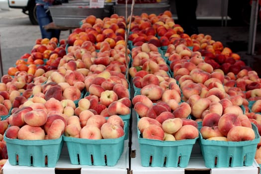 Fresh organic donut peaches background, photo taken at local farmers market, in New York City