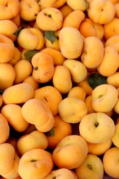 Fresh organic golden donut peaches background, photo taken at local farmers market, in New York City