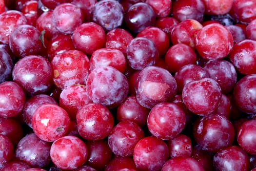 Fresh organic plum fruit background, photo taken at local farmers market, in New York City.