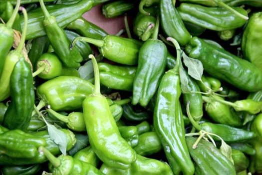 Fresh organic bell pepper background, photo taken at local farmers market, in New York City.
