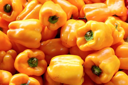 Fresh organic bell pepper background, photo taken at local farmers market, in New York City