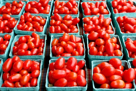 Fresh organic cherry tomatoes background, photo taken at local farmers market, in New York City.