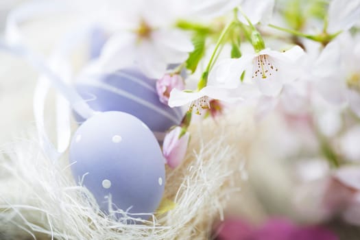 Soft pastel Easter eggs and cherry blossoms, high key image.