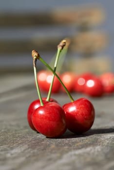 Cherries in the evening light, selective focus
