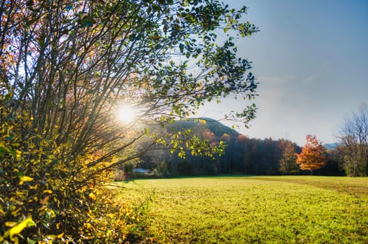 Fall at Campground in North Carolina