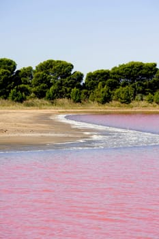Site operating sea salt saline Aigues-Mortes in the season when a pink algae grow in the water, which gives this beautiful color.