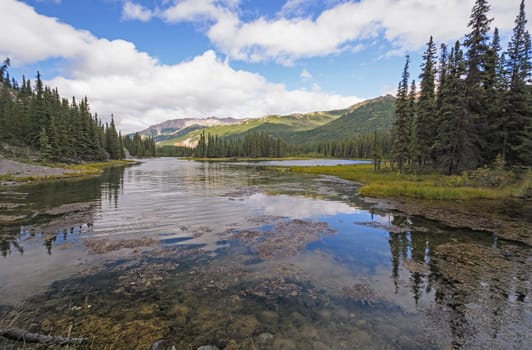 Horseshoe Lake in Denali National Park in Alaska