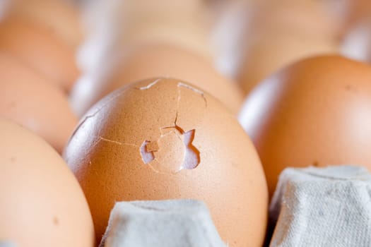 fresh eggs and one eggs is broken