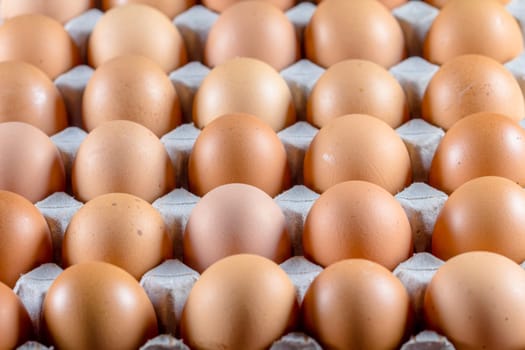 fresh egg is row on packaging