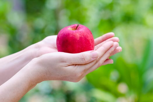 women hand holding red apple