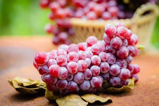 Red grape fruits in the basket