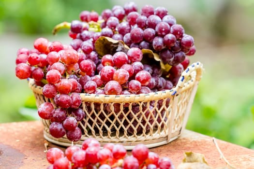 Red grape fruits in the basket