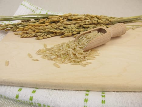 Raw wholegrain rice and rice rice