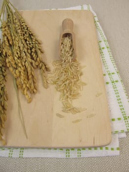 Raw wholegrain rice and rice rice