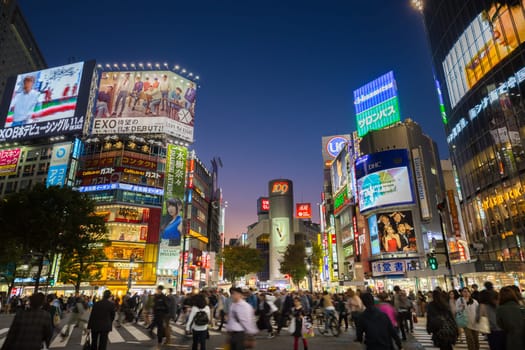 Tokyo, Japan - Nov 6