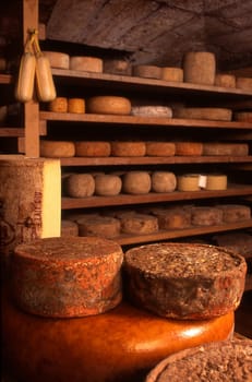Cheeses in producer's cave-Roquefort