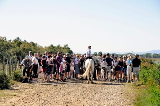 Gardian young woman welcoming tourists for a demonstration with bulls of the Camargue local tradition of working with cattle.