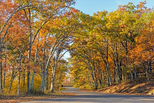 Rural Road in the Fall in Shenandoah National Park in Virginia