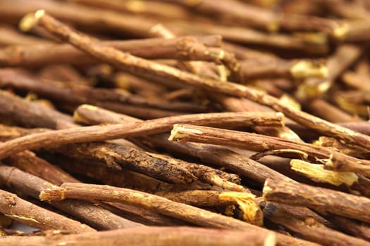 Liquorice - Radix Liquiritiae