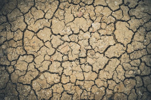 close up cracked clay ground into the dry season
