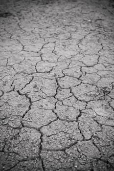 close up cracked clay ground into the dry season