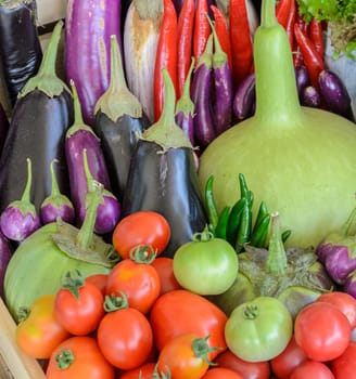 Assortment of fresh vegetable (purple egg plant, tomato, Thai eggplant, bottle gourd, red hot chili and tomato) in wooden box