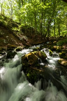 a small mountain river flowing in the forest