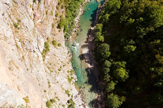 the mountains covered with various trees, other plants. Montenegro