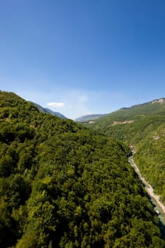 the mountains covered with various trees, other plants. Montenegro