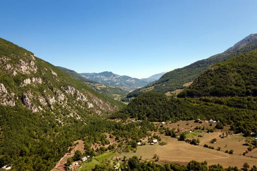 the mountains covered with various trees, other plants. Montenegro