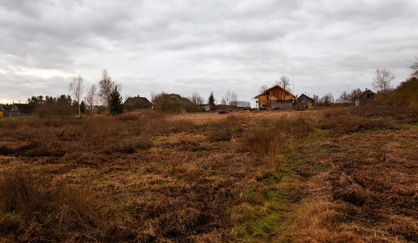 the dried grass in an autumn season. cloudy weather