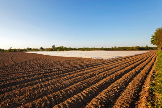 an agricultural field on which material as the greenhouse lies