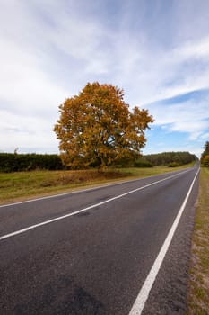 the small asphalted road to an autumn season