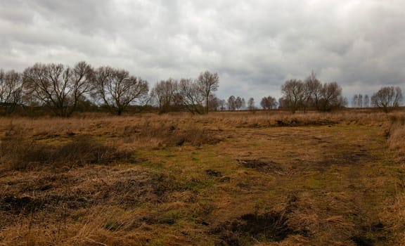 the dried grass in an autumn season. cloudy weather