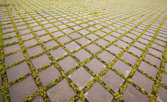 paving slabs between which green grass grows.