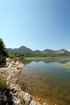 Lake Skadar located in Montenegro in summertime of year