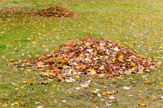 fallen down from trees foliage, collected in heaps during cleaning. fall