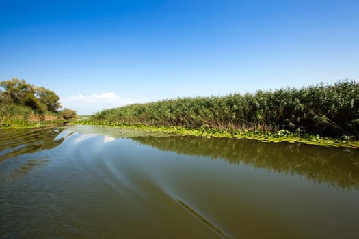 the small lake in summertime of year.