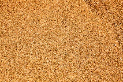 the grains of wheat collected in heaps during harvesting