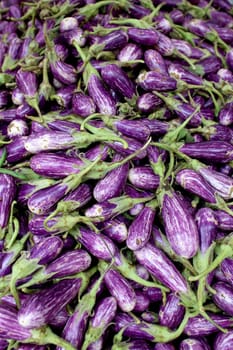 Fresh organic fairytale eggplant background, photo taken at local farmers market, in New York City