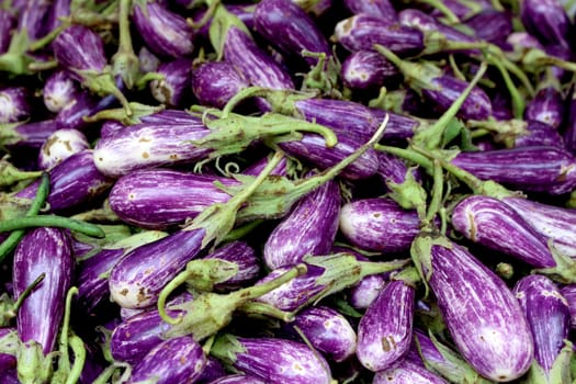 Fresh organic fairytale eggplant background, photo taken at local farmers market, in New York City.