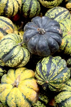 Fresh organic pumpkin background, photo taken at local farmers market, in New York City.