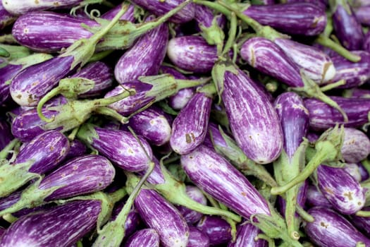 Fresh organic fairytale eggplant background, photo taken at local farmers market, in New York City