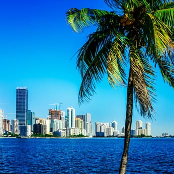 Miami Downtown skyline in daytime with Biscayne Bay.